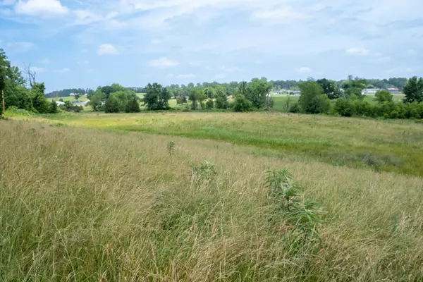 Crab Orchard, KY 40419,17324 HWY 39