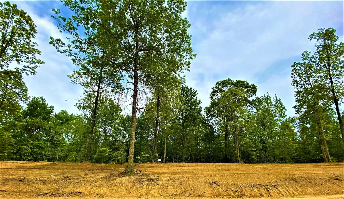 Corbin, KY 40701,P-3 Lot 48 Twin Ponds Road