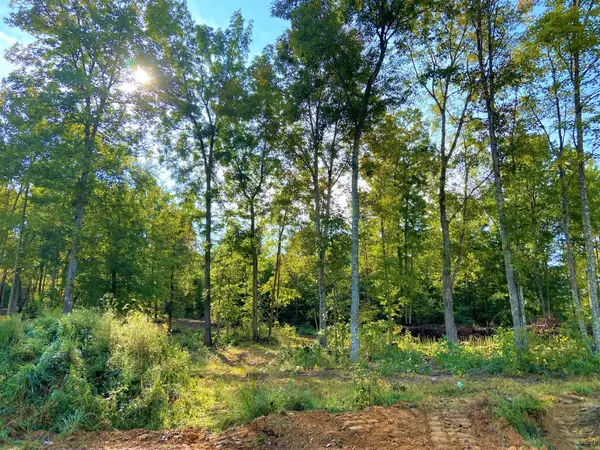 Corbin, KY 40701,P-3 Lot 36 Twin Ponds Road