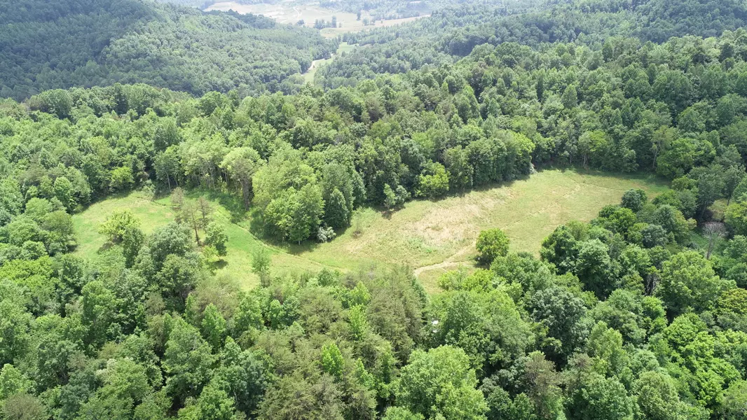 9999 Maple Creek Road, Williamsburg, KY 40769