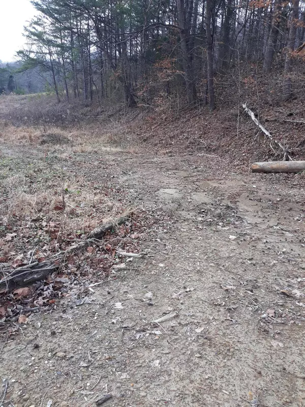 Stanton, KY 40380,22 Mountain Road