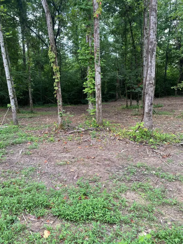 Monticello, KY 42633,Lot 3 Lakewood Estates Drive