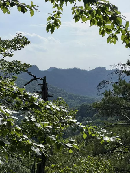 7000 N Fork Road, Stanton, KY 40380