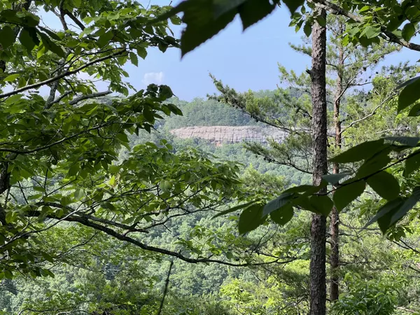 Stanton, KY 40380,7000 North Fork Road