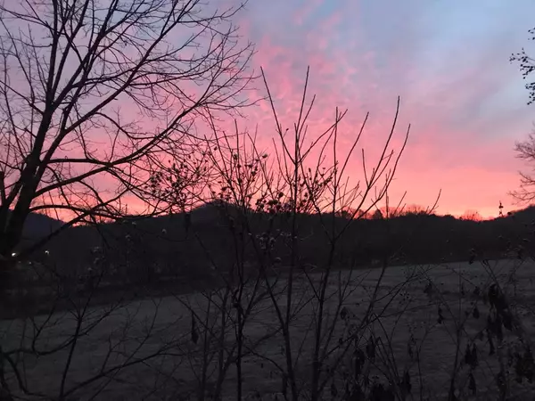 Irvine, KY 40336,4270 Winchester Road