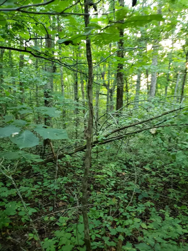 Burnside, KY 42519,100 Colonel Drive