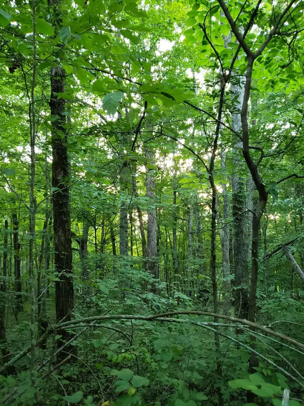 Burnside, KY 42519,100 Colonel Drive