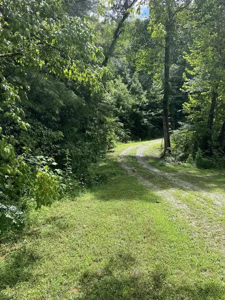 1135 KY-15, Campton, KY 41301