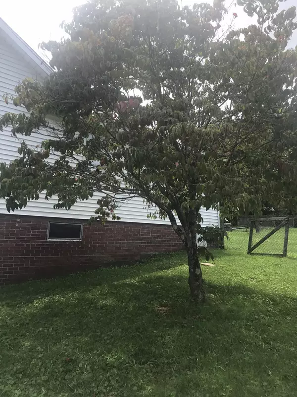 Benham, KY 40807,275 Hemlock Street