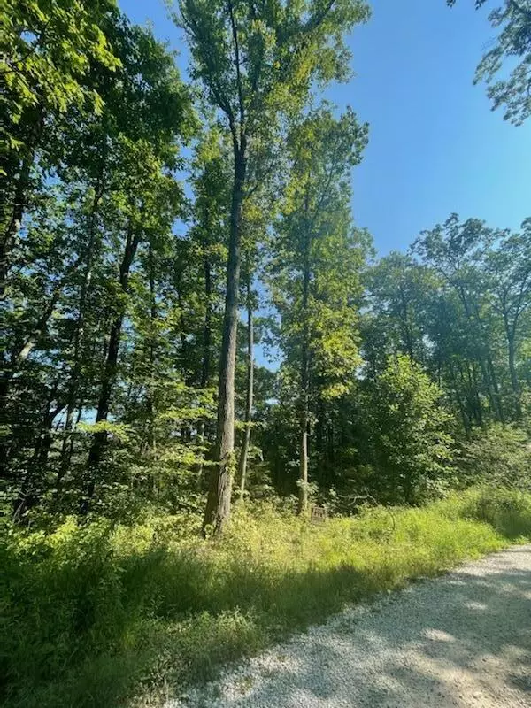 Lot 6 Indian Creek Development Road, Frenchburg, KY 40322