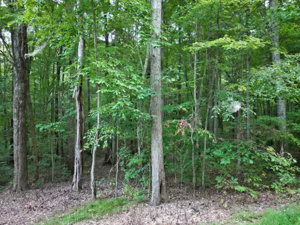 TBD Woodcrest Drive, Owingsville, KY 40360