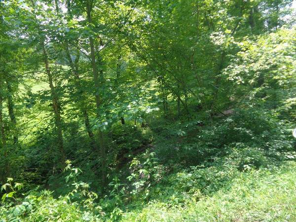 Lot 36 Cliffs Edge Road, East Bernstadt, KY 40729