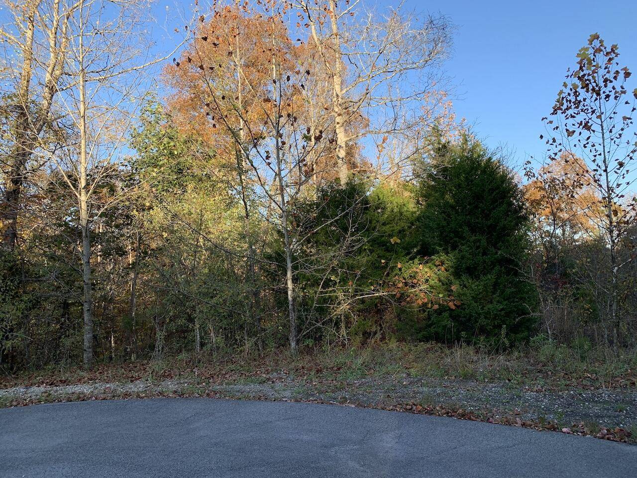 Russell Springs, KY 42642,Lot 9 Branchview Lane