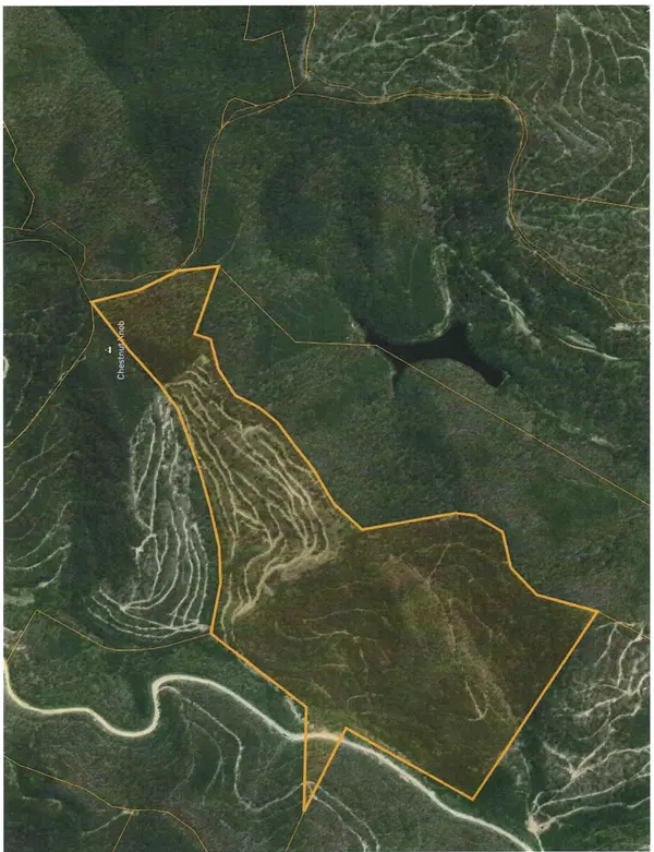 0 Deep Gap Branch, Helton, KY 40840