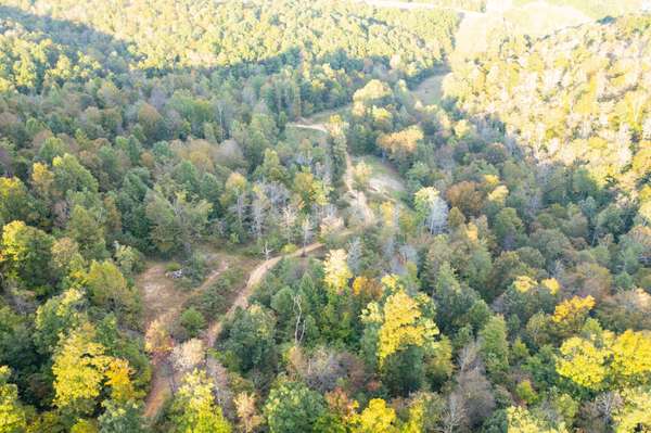 110 Acres Land Fleming Fork, Olive Hill, KY 41164