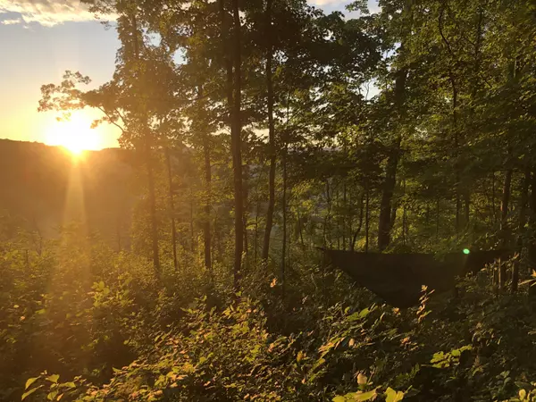 Irvine, KY 40336,795 John Campbell Road