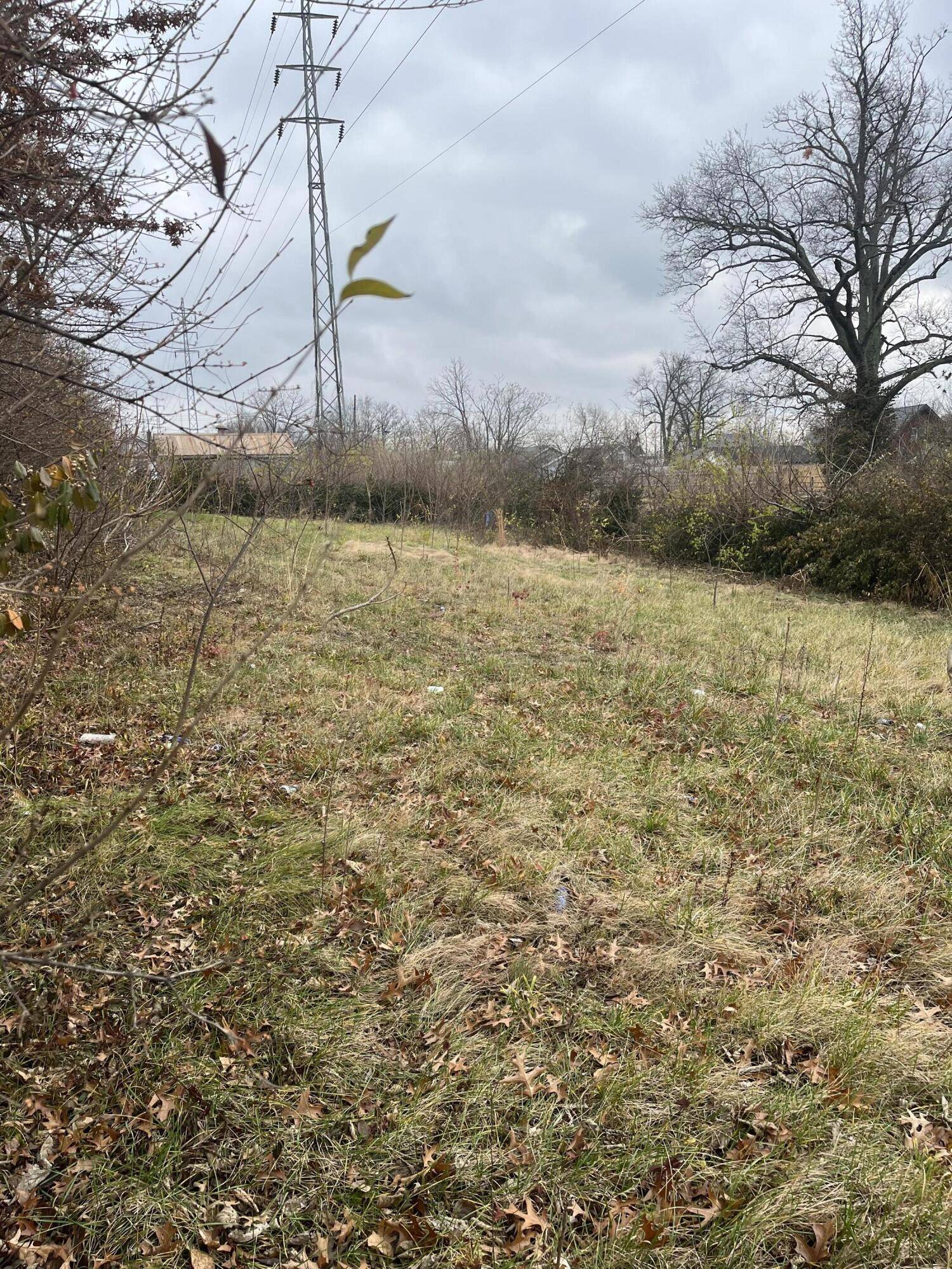 Lexington, KY 40508,746 Shropshire Avenue