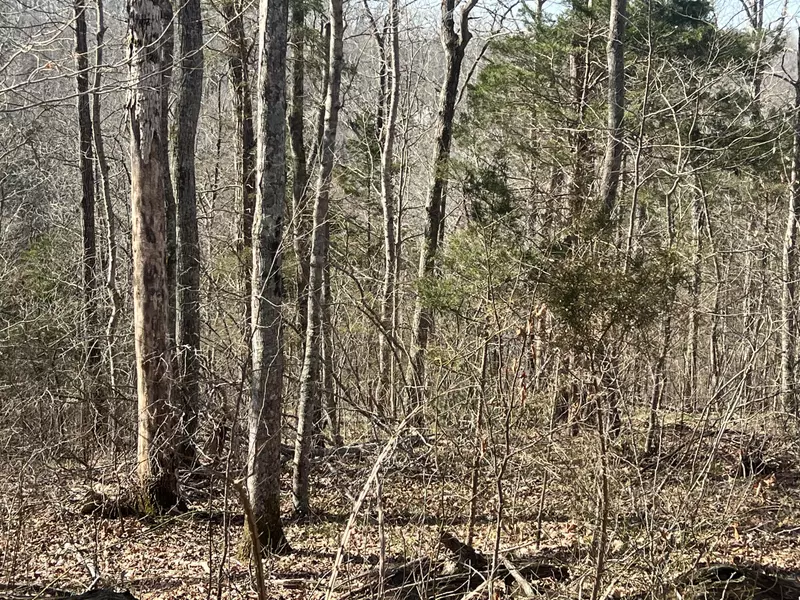 23-25 Bart's Way, Monticello, KY 42633