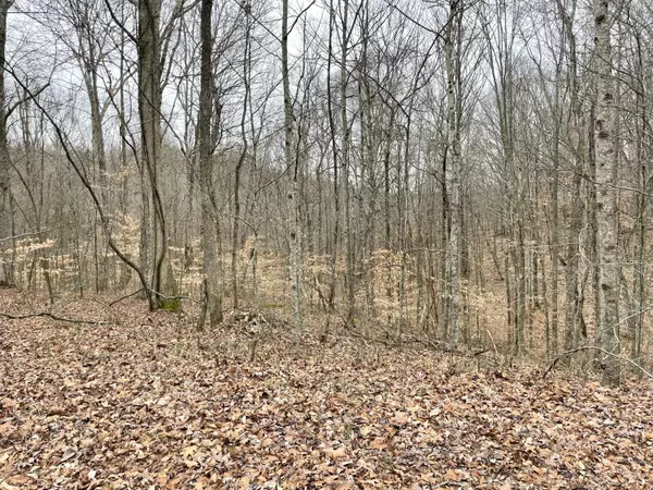 Nancy, KY 42544,Lot 123 Kelly Circle