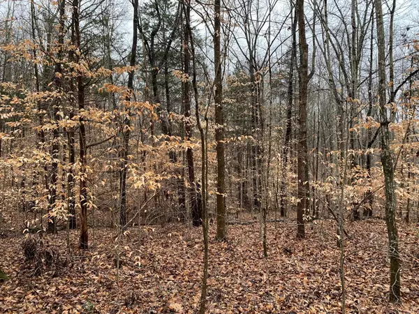 Albany, KY 42602,Tract 9 Taylors Trace