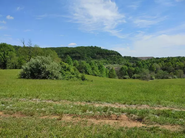 Corbin, KY 40701,0 Lloyd Hollow Road #Tract #6