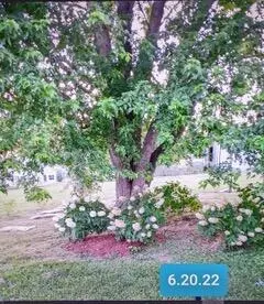 Yosemite, KY 42566,1741 Calvary Ridge Road