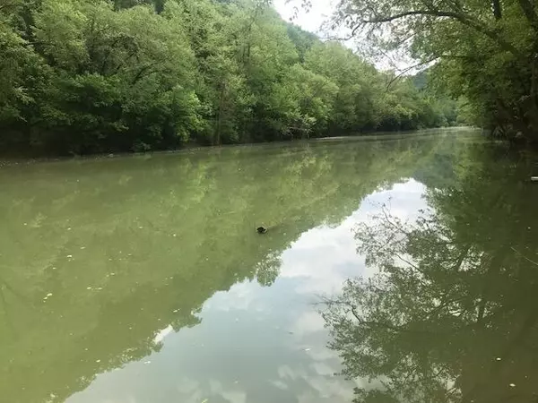 Hyden, KY 41749,284 Huff Road