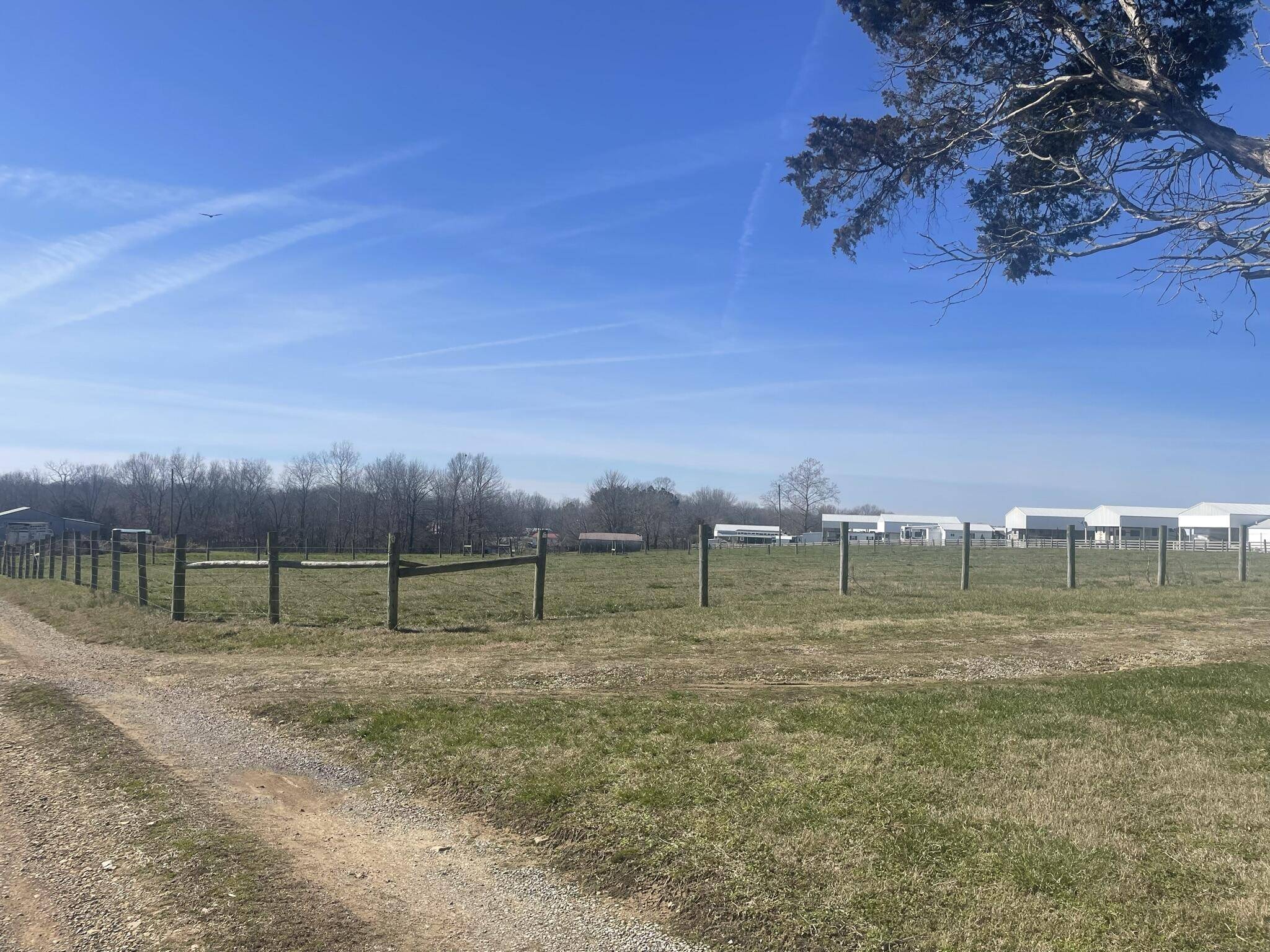 Russell Springs, KY 42642,305 J Tucker Lane