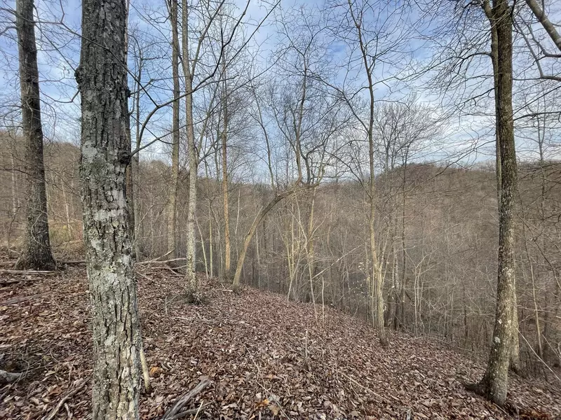9999 Wild Dog Road, Bear Branch, KY 41714