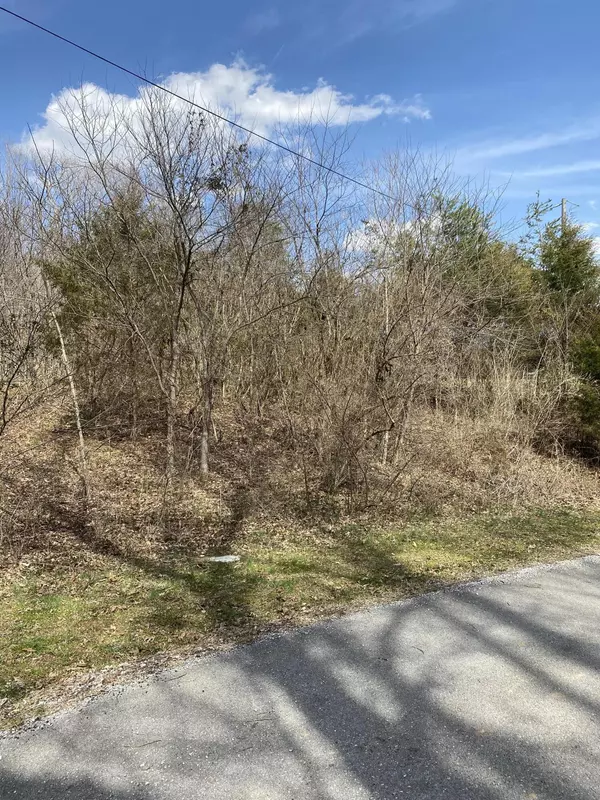 Lot 853 Antioch Church Rd. Drive #3, Burnside, KY 42519