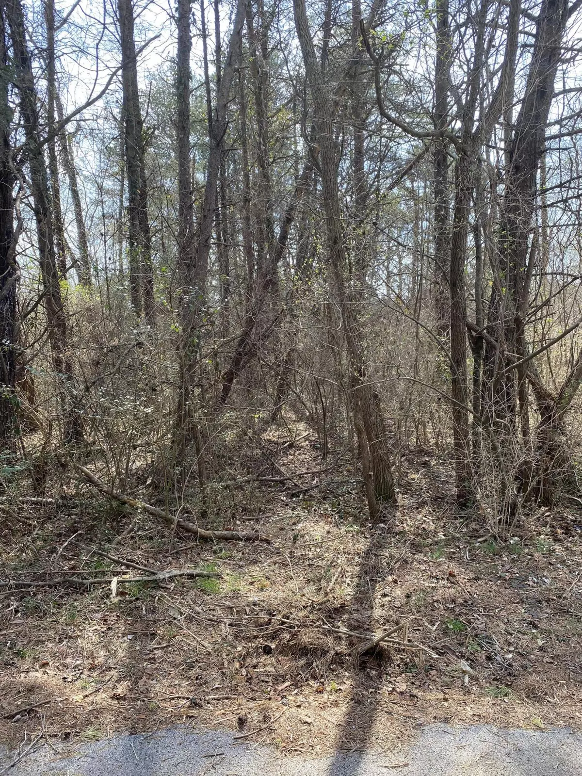 Burnside, KY 42519,Lot 1057 Palisades Court