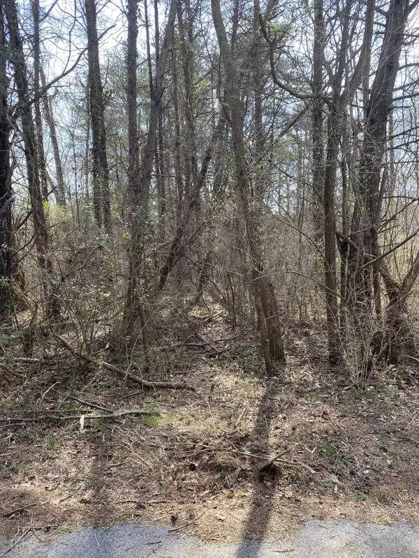 Lot 1057 Palisades Court, Burnside, KY 42519