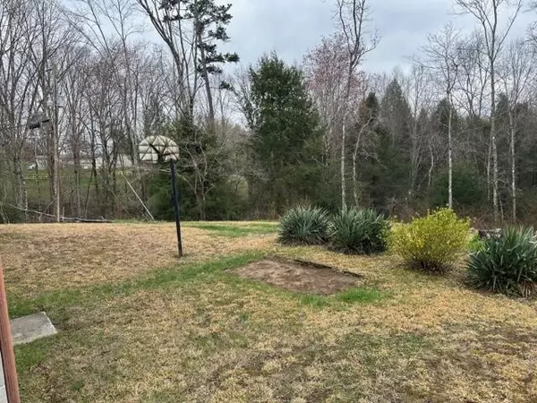 Stearns, KY 42647,205 Myrtle Lane