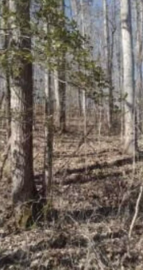 Beattyville, KY 41311,4D Pine Grove Rd Road