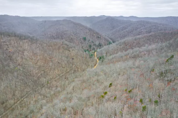 0 Cow Fork Road, Beverly, KY 40913
