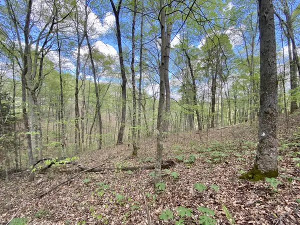 Williamsburg, KY 40769,0 Dicy Court