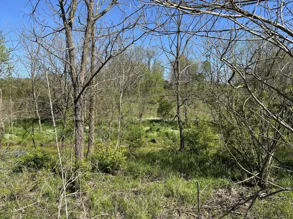 Stamping Ground, KY 40379,525 locust Fork Road