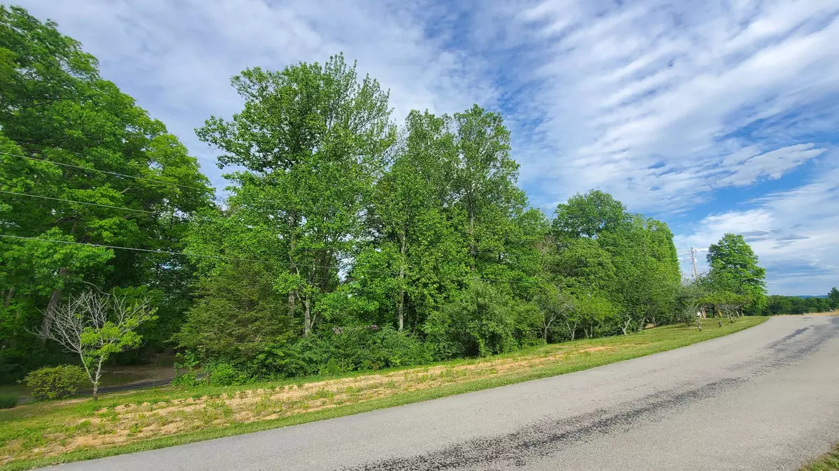 Nancy, KY 42544,Lot 35,36 Burton Subdivision Road