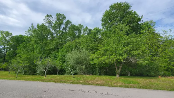 Nancy, KY 42544,Lot 35,36 Burton Subdivision Road