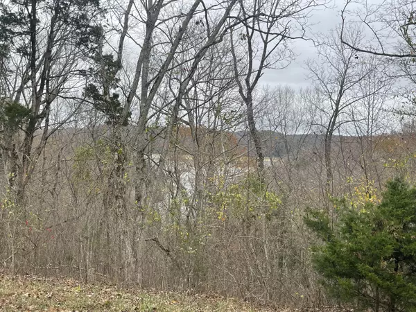 Monticello, KY 42633,Lot 59 Cumberland Shores