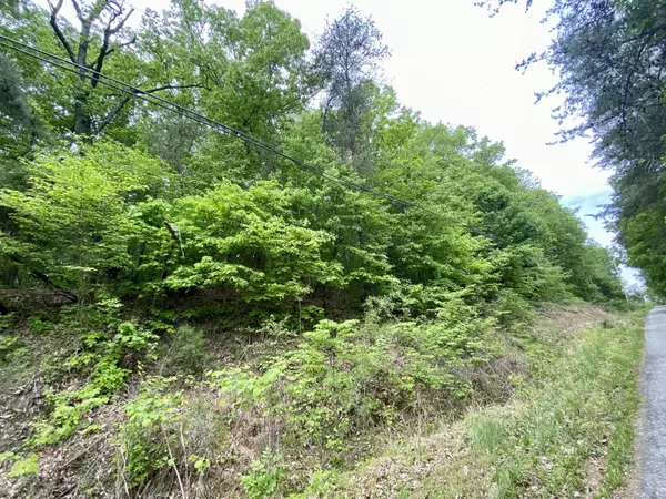 Brooks, KY 40109,0 Overlook Acres