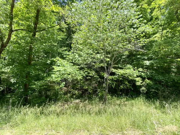 860 Patty Loveless Drive, Elkhorn City, KY 41522