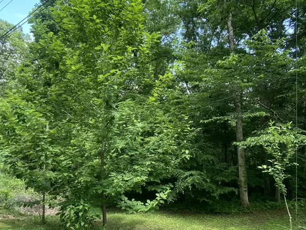 Burnside, KY 42519,1275 Lakeshore Drive