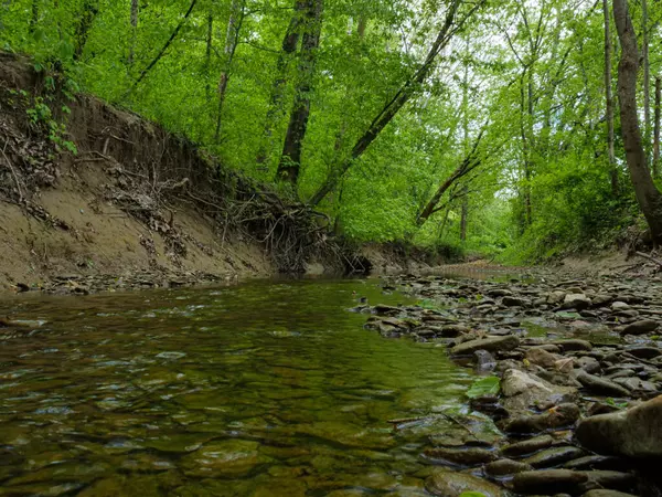 Stanton, KY 40380,00 Campton Road