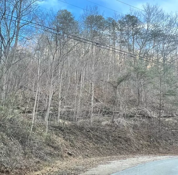 00 00 Pitts Fork--db 612/138, David, KY 41616