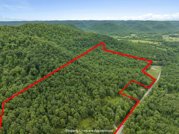 Irvine, KY 40336,1808 Red Lick Road