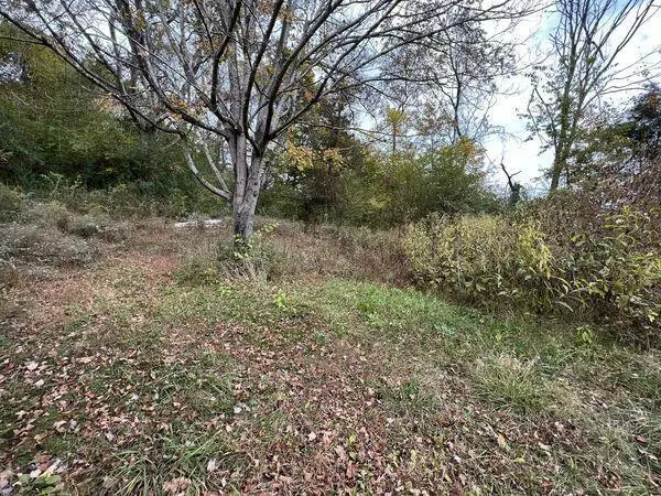 260 Walton Road Road, Irvine, KY 40336