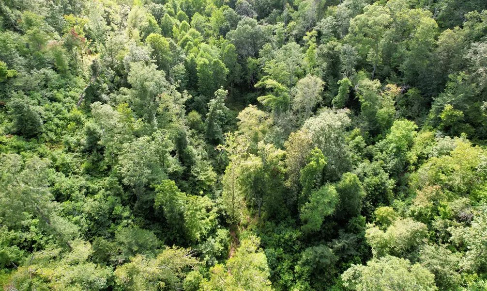 9999 Highway 36, Frenchburg, KY 40322