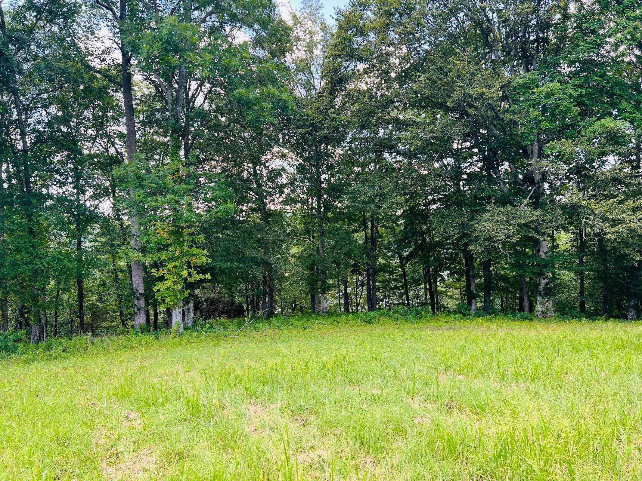 Russell Springs, KY 42642,139 Piper Lane