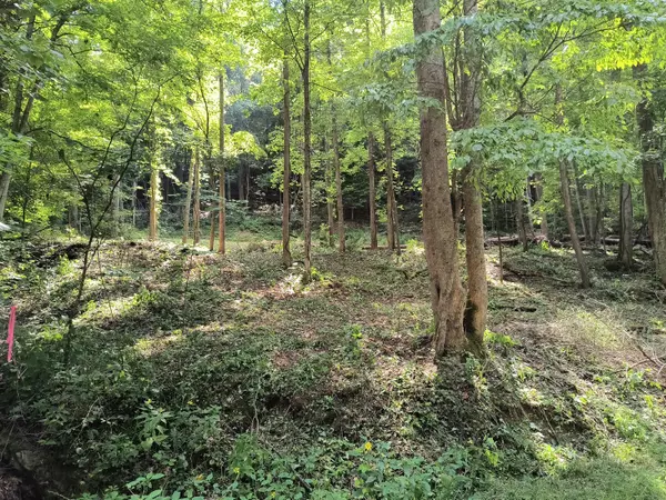 Stanton, KY 40380,0 Birch Hollow Road ##10 Phase 2